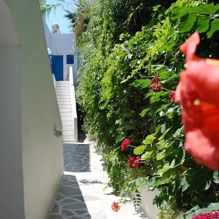 Koulas - Red